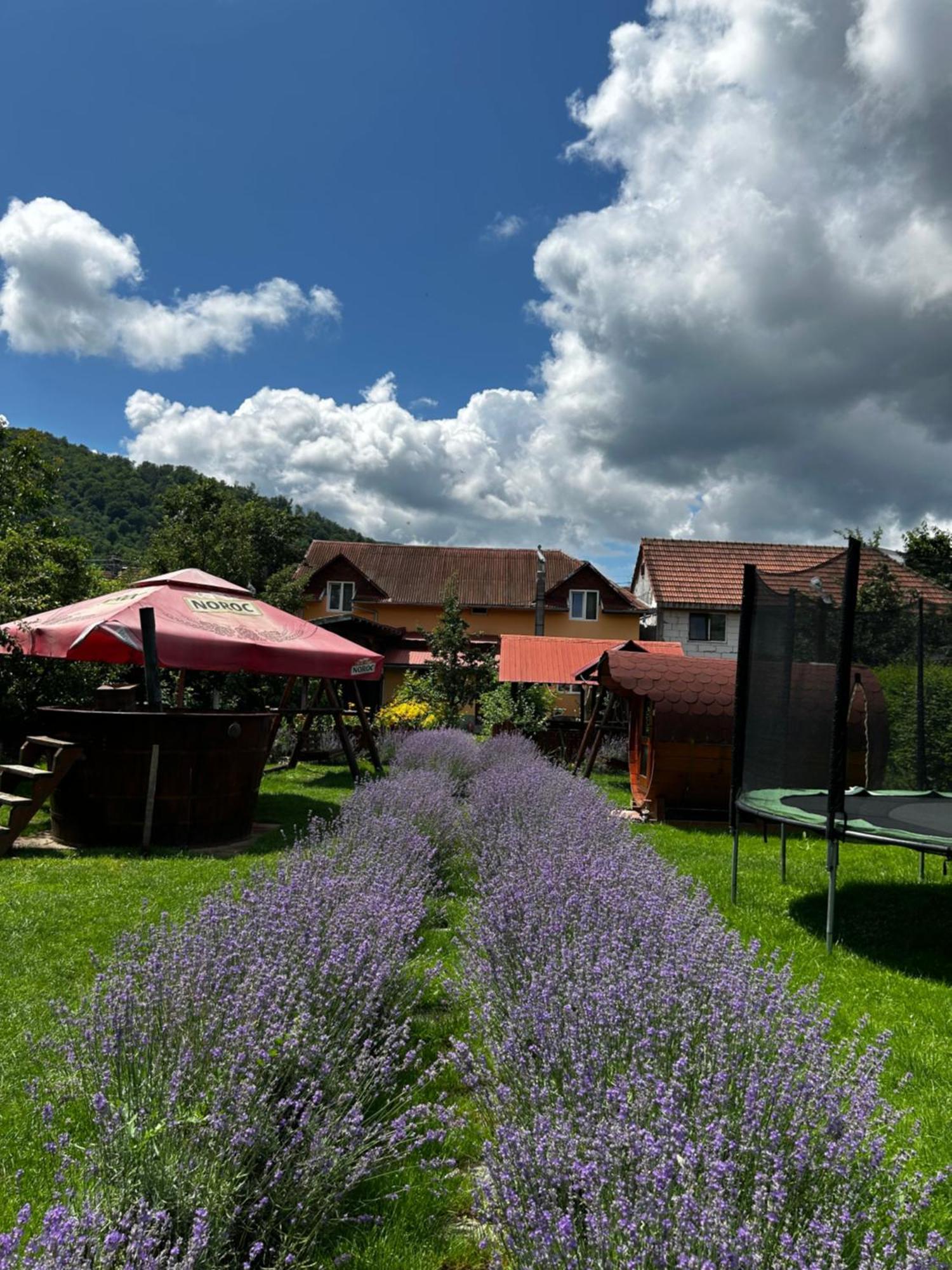 Villa La Teo Maru  Exterior foto
